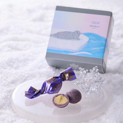 ショコラボール　ブルーベリー